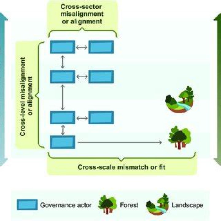 What are cross-level interactions?