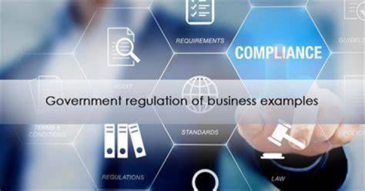 What are examples of government regulation?