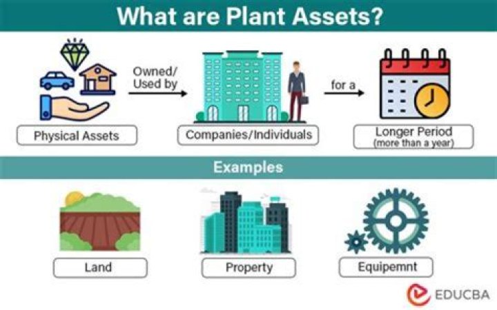 What are examples of plant assets?