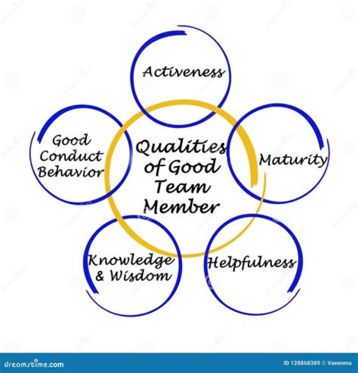 What are five qualities of a good team member?
