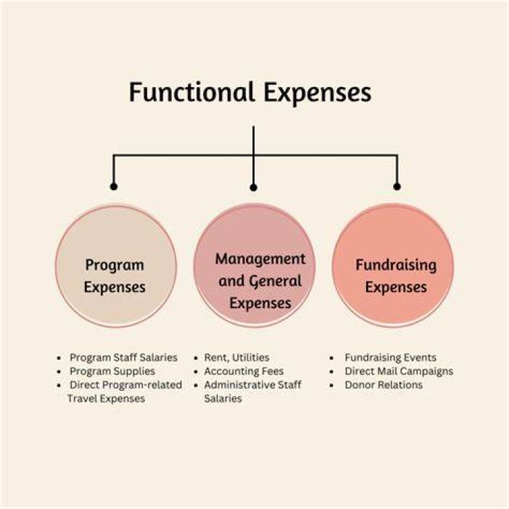 What are functional expenses?