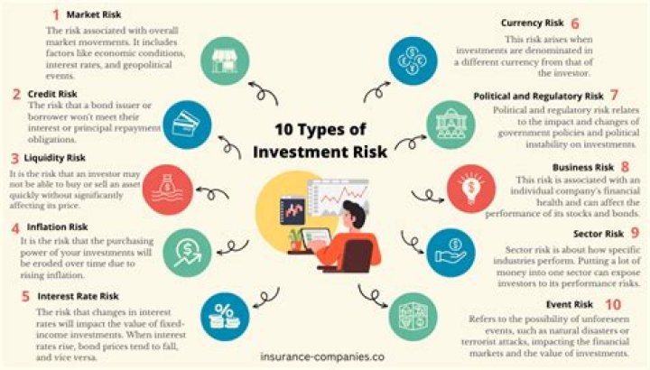 What are investment risks?