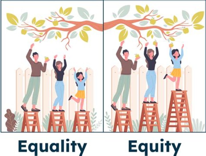 What are members of Equity?