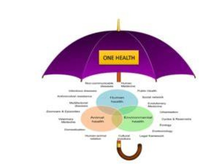 What are other services covered under the umbrella of health care?