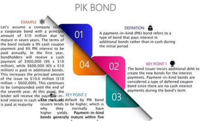 What are payment in kind notes?