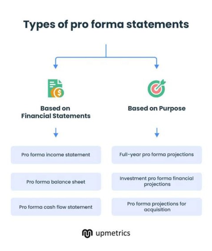 What are pro forma financial statements how are they useful?