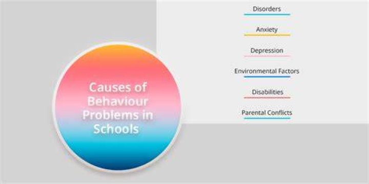 What are problems that affect schools?