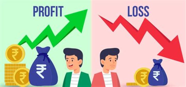 What are profits in accounting?