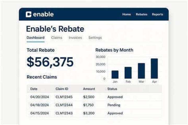 What are rebate programs?