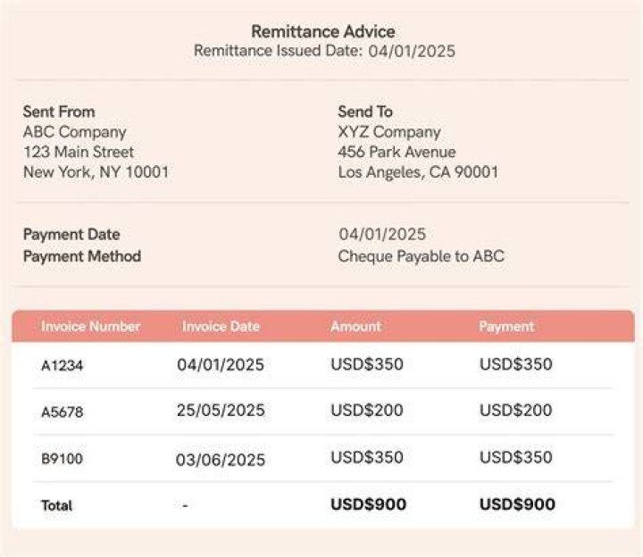 What are remittance services?