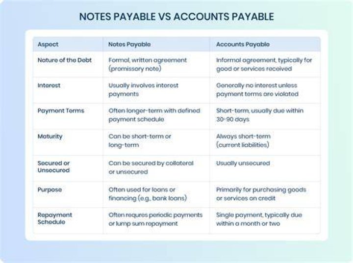 What are shareholder notes payable?