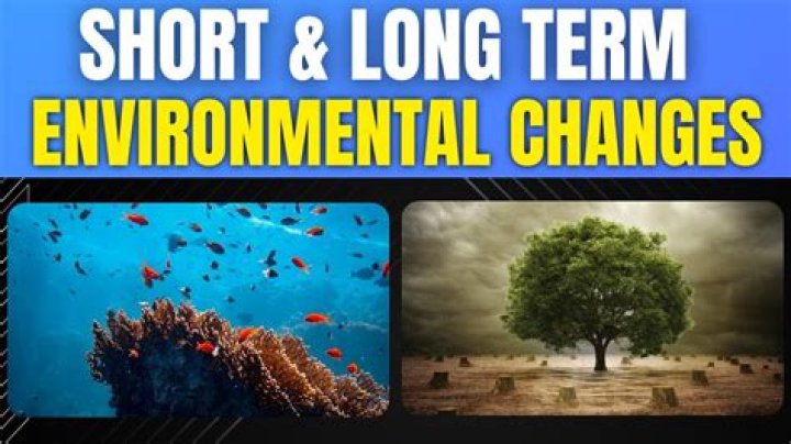 What are short term and long term changes in an ecosystem?