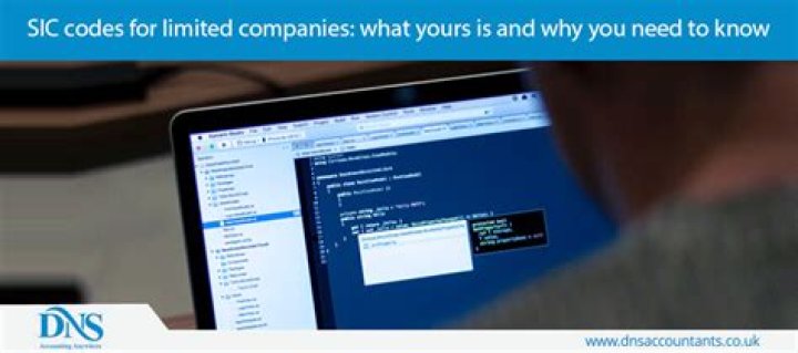 What are SIC codes used for?