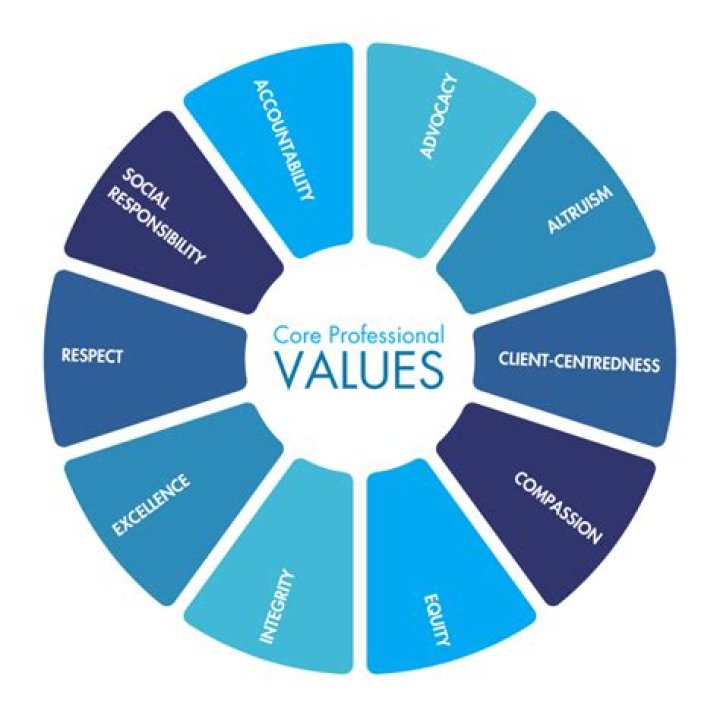 What are some examples of professional values?