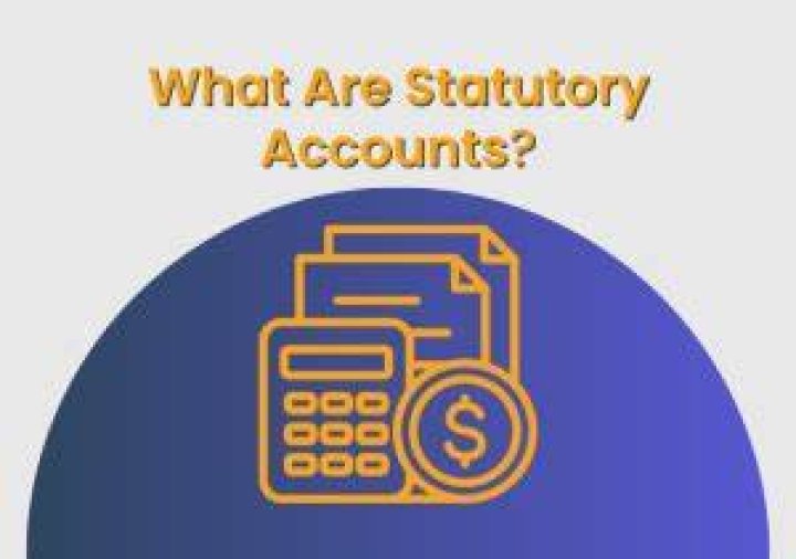 What are statutory net resources?