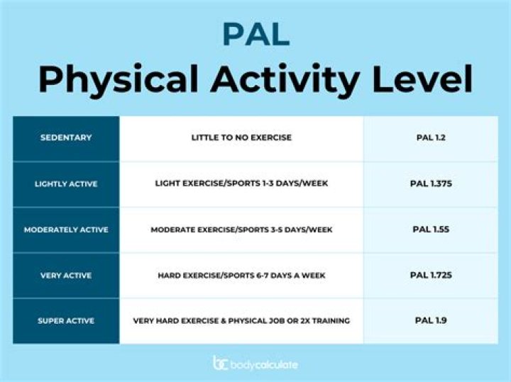 What are the 3 levels of activity?