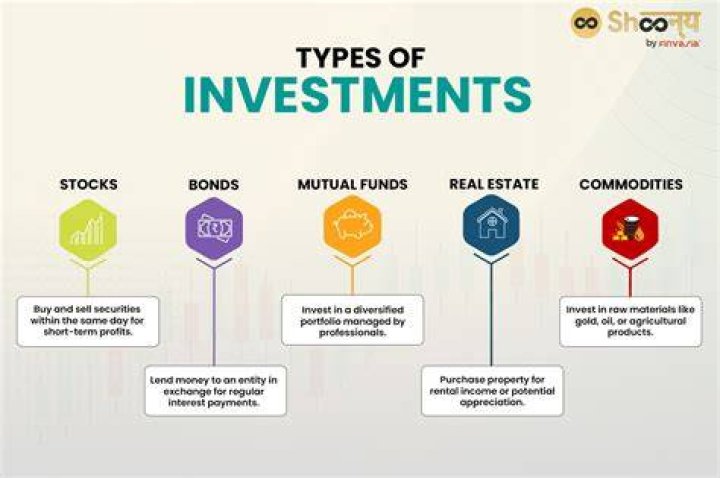 What are the 4 investment alternatives?