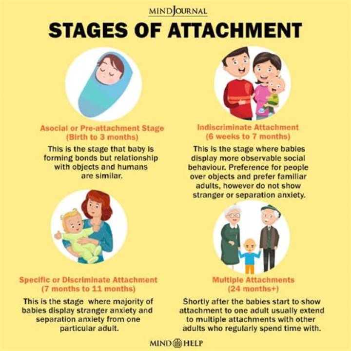 What are the 4 stages of attachment development?