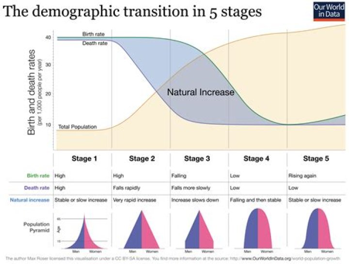 What are the 4 stages of the demographic transition?