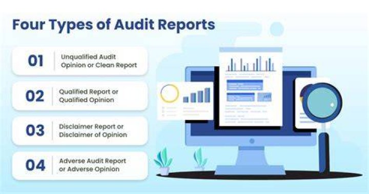 What are the 4 types of audits?