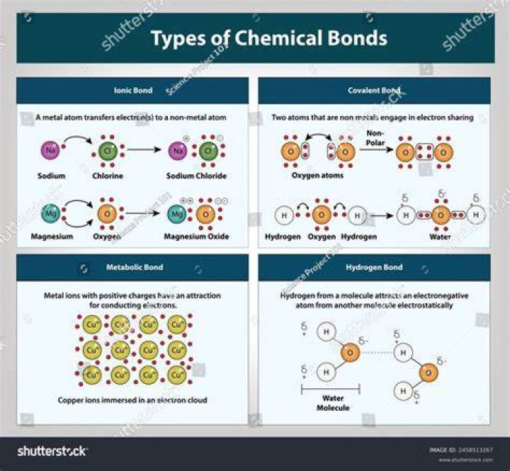 What are the 5 characteristics of bonds?
