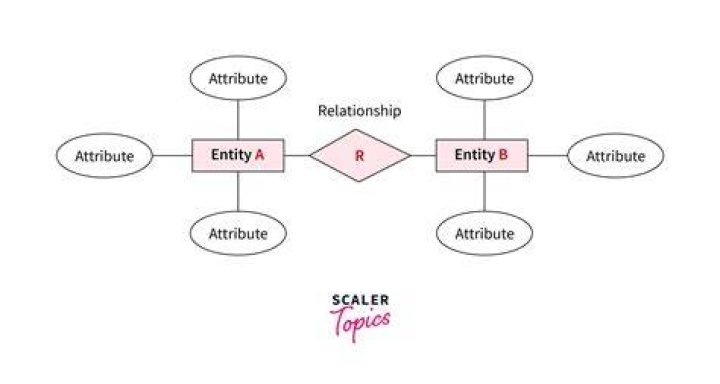 What are the 5 entity types?