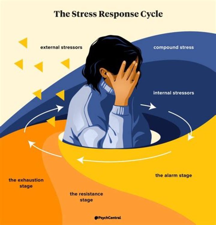 What are the 5 stages of stress?