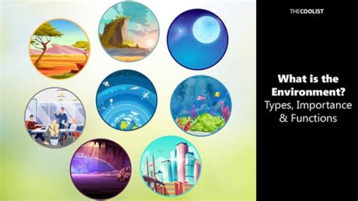 What are the 5 types of environments?