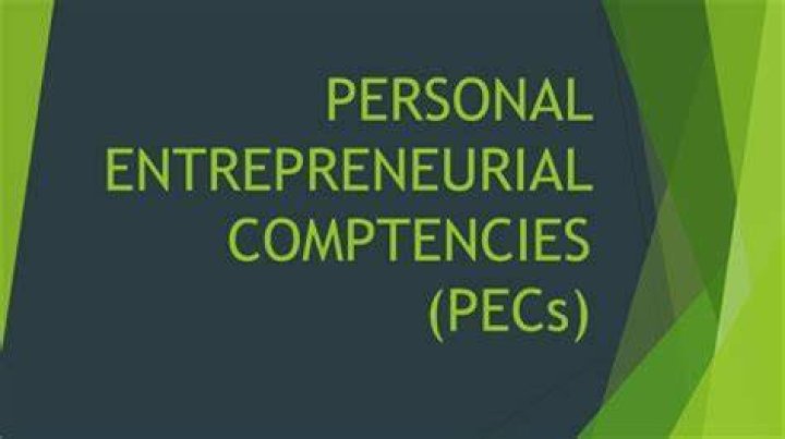 What are the 8 personal entrepreneurial competencies?