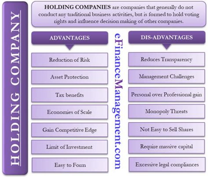 What are the advantages and disadvantages of holding stocks?