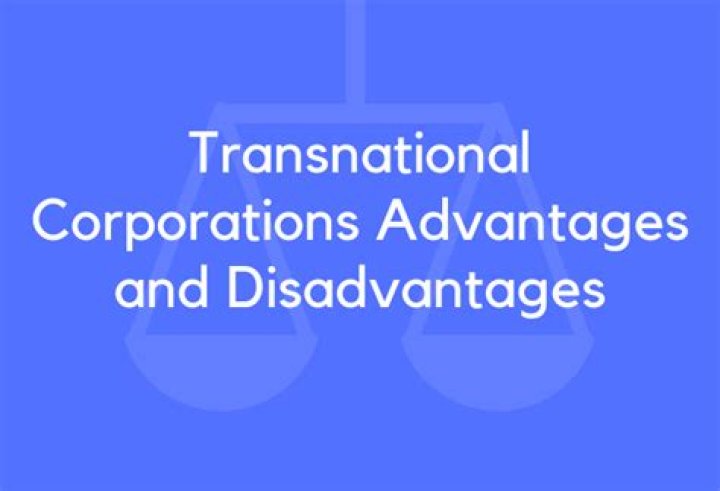What are the advantages and disadvantages of transnational corporations?