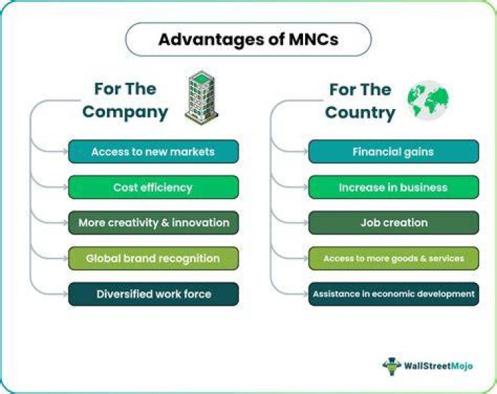 What are the advantages of working for a multinational company?