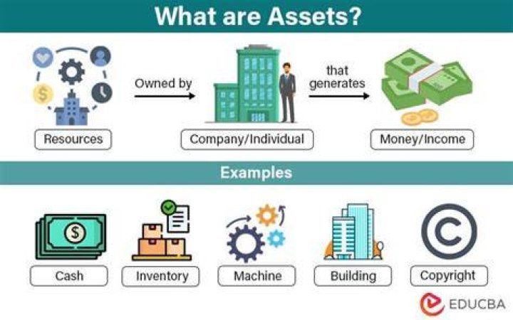 What are the assets of an S corporation?