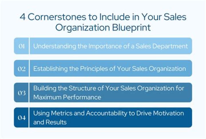 What are the basic concept of sales organization?