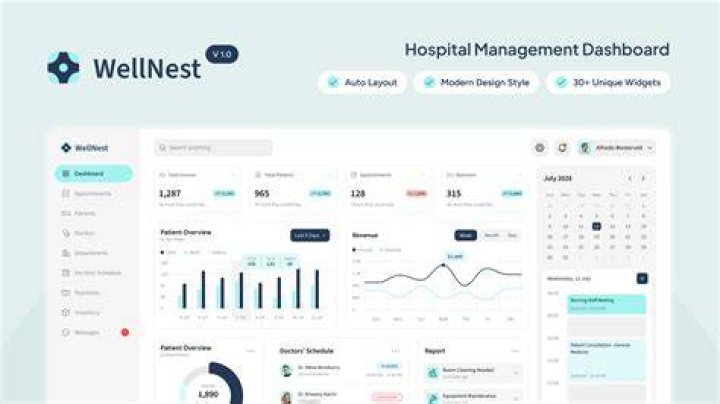What are the challenges that are been covered by the new hospital information system?