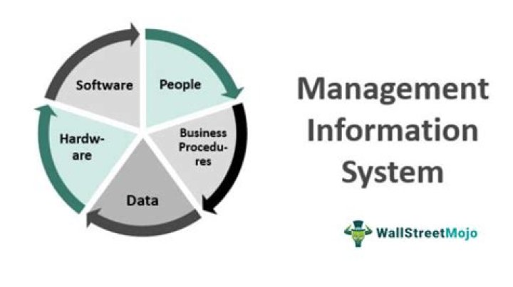 What are the concepts of management information system?