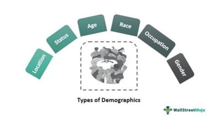 What are the demographic groups?