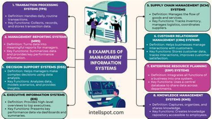 What are the different challenges posed by information systems in business and management?