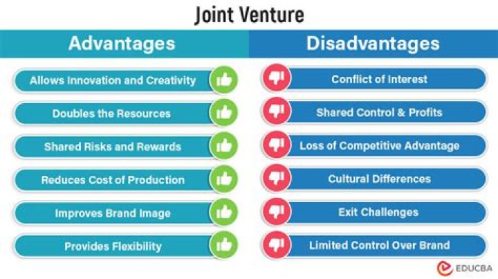 What are the disadvantages and advantages of joint ventures?