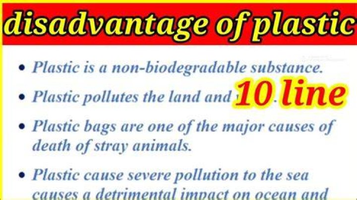What are the disadvantages and advantages of plastic?
