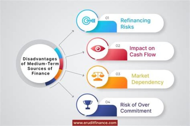 What are the disadvantages of sources of finance?