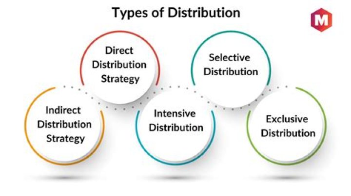 What are the distribution strategies used by companies?