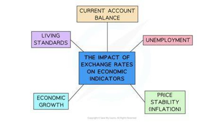 What are the effects of exchange rate in microeconomics?