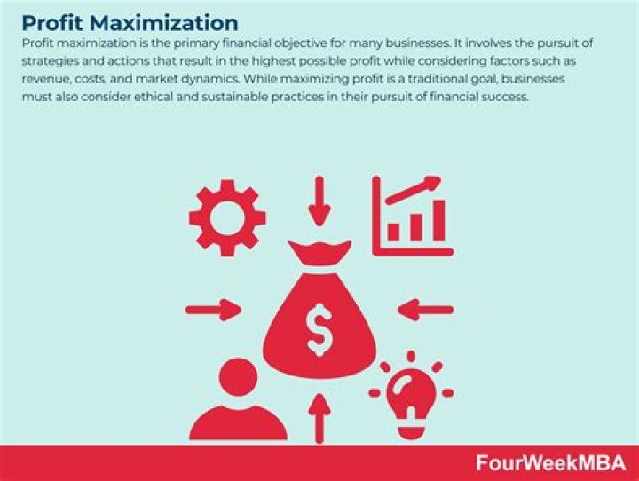 What are the factors leading to profit maximization?