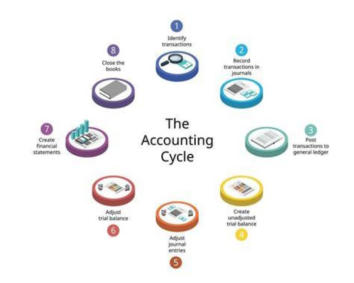 What are the financial reporting cycles?