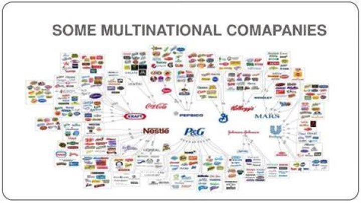 What are the forms of multinational corporation?