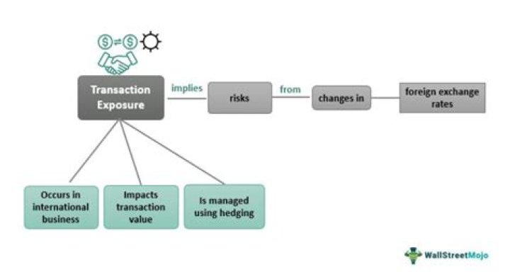 What are the four main types of transactions from which transaction exposure arises?