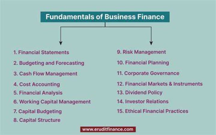 What are the fundamentals of financial management?