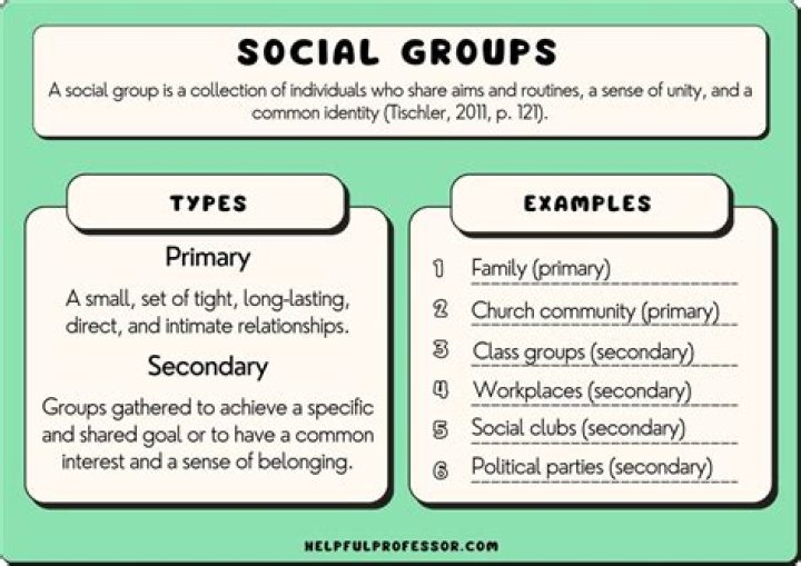 What are the groups in accounting?
