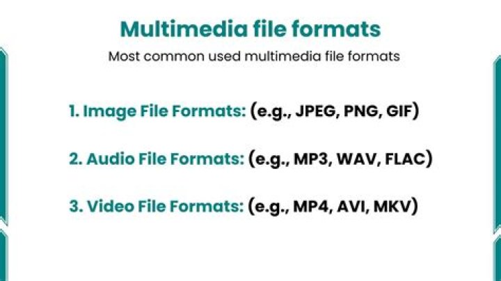 What are the key features of widely used graphics and multimedia programs?